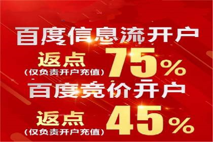 某企业SEM广告投放的ROI提升之路